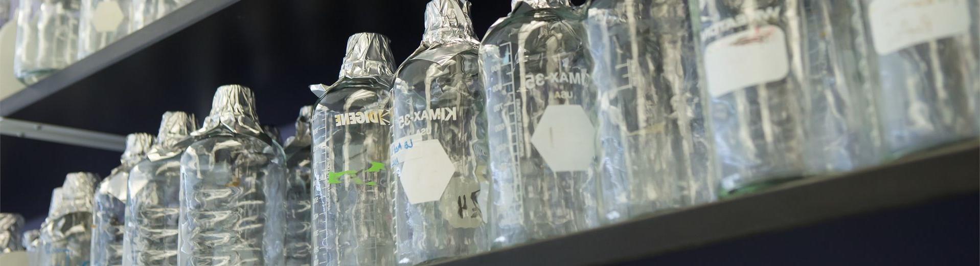 在坦普尔大学神经科学实验室的架子上，一排贴有标签的试管和玻璃瓶.
